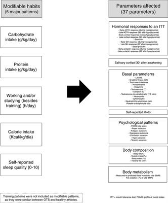 Eating, Sleep, and Social Patterns as Independent Predictors of Clinical, Metabolic, and Biochemical Behaviors Among Elite Male Athletes: The EROS-PREDICTORS Study